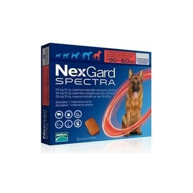 NEXGARD SPECTRA*30-60KG 6CPR