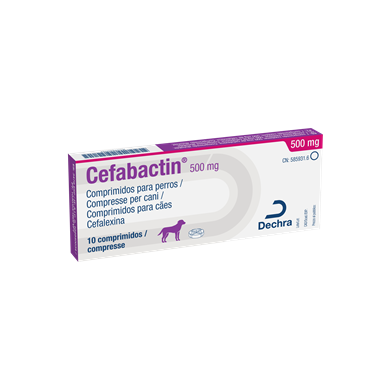 CEFABACTIN*10CPR 500MG