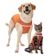 BODYCOBRE TG11-30-35KG 