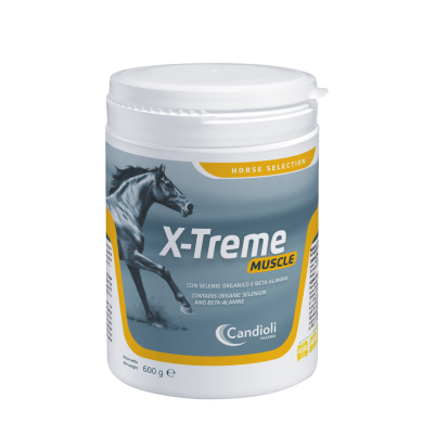 X-TREME MUSCLE 20BUST 20G