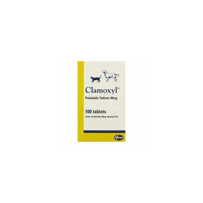 CLAMOXYL PAL.TAB.*10CPR 400MG