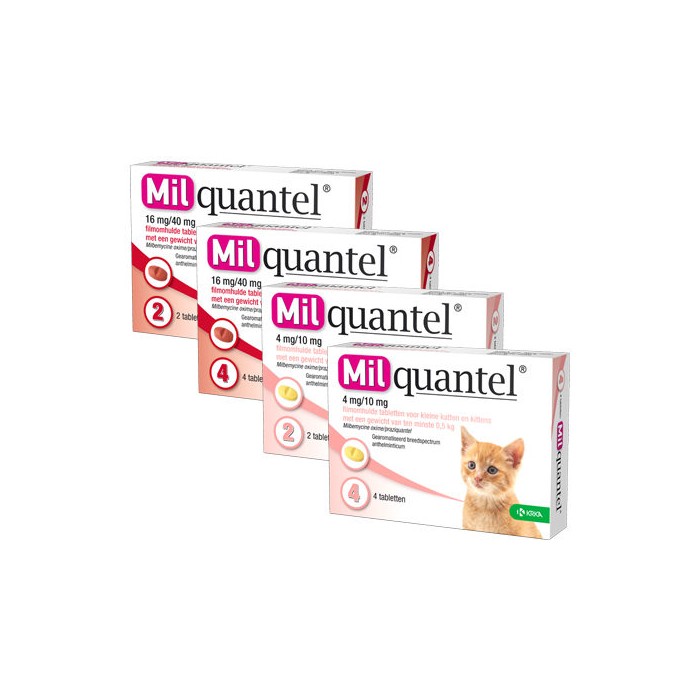 MILQUANTEL*48CPR4MG+10MG GATTI