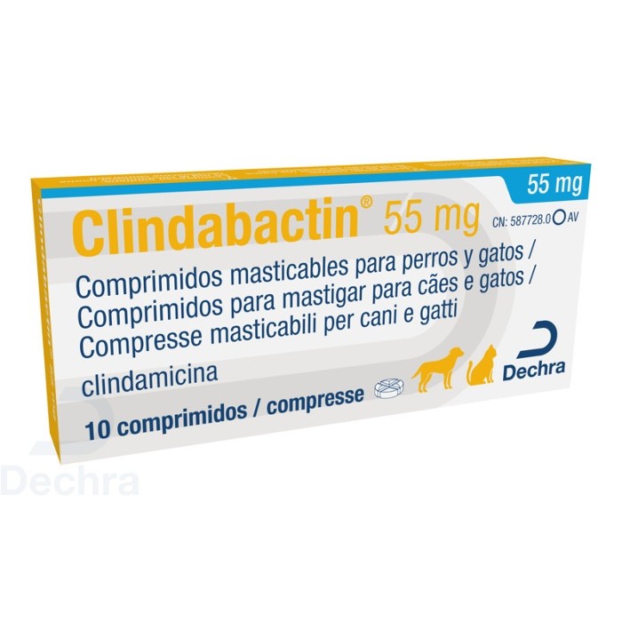 CLINDABACTIN*10CPR 55MG