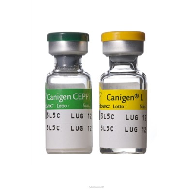 CANIGEN L*SC 10FL 1D