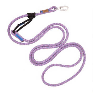 CH GUINZ CLIMB THEMAGIC CRAB*