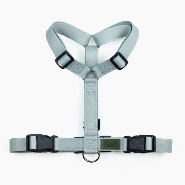 CH PETTO EARTH EX/S GLAC TG M