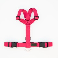 CH PETTO EARTH EX/S RIBE S