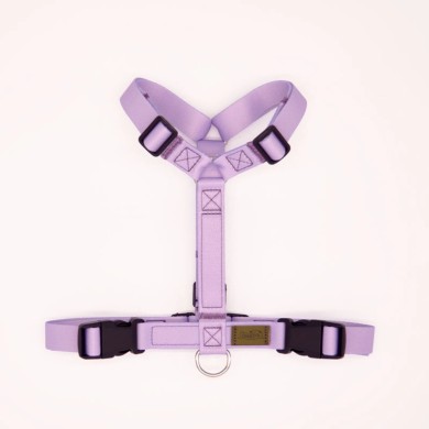 CH PETTO EARTH LAVAND TG S