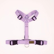 CH PETTO EARTH LAVAND TG S