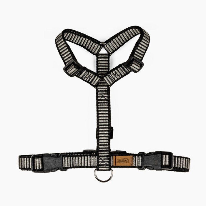 CH PETTO OCEAN STORM TG L