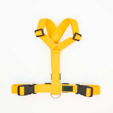 CH PETTORINA EARTH LEMON XS