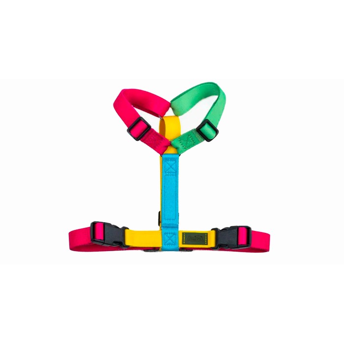 CH PETTORINA EARTH RAINB TG XS