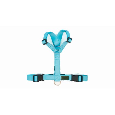 CH PETTORINA EARTH SKY TG XXS