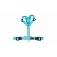 CH PETTORINA EARTH SKY TG XXS