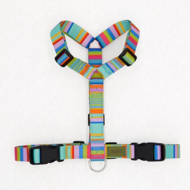 CH PETTORINA EARTH VIBES M