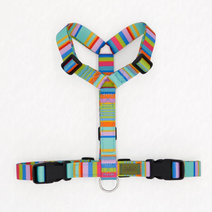 CH PETTORINA EARTH VIBES S