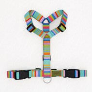 CH PETTORINA EARTH VIBES XXS