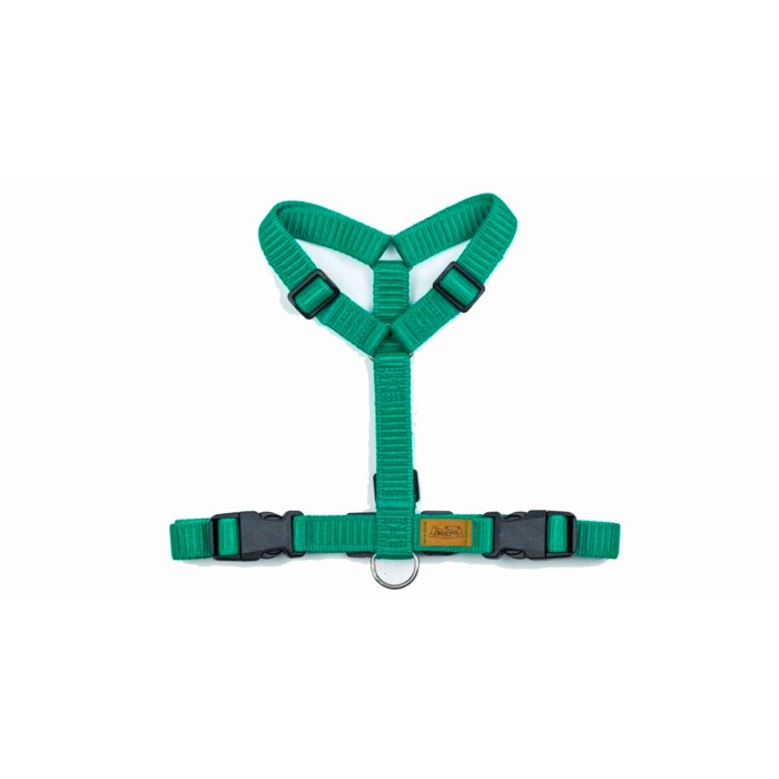 CH PETTORINA OCEAN CIRMOL TG M