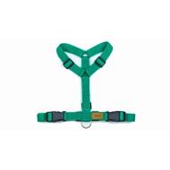 CH PETTORINA OCEAN CIRMOL TG M