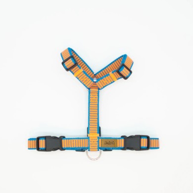 CH PETTORINA OCEAN SUNSET TG L