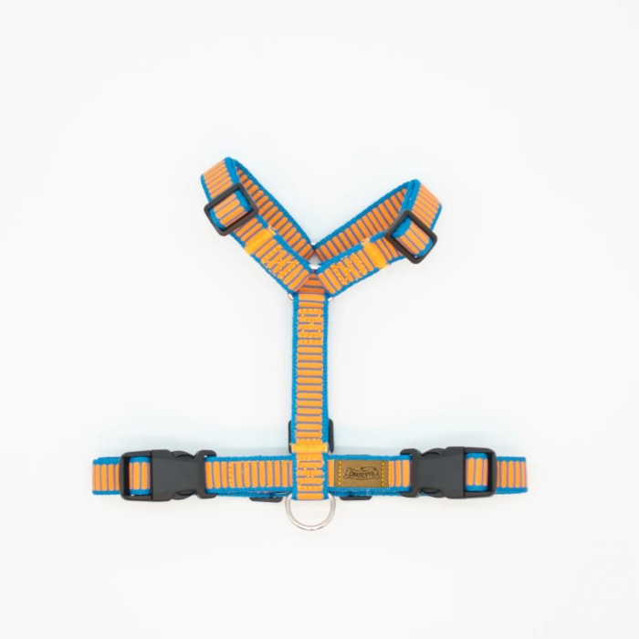 CH PETTORINA OCEAN SUNSET TG L