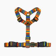 CH PETTORINA EARTH BUTTFLY XS