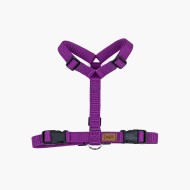 CH PETTORINA OCEAN CICLAM TG M