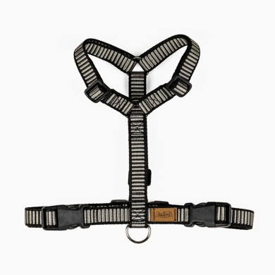 CH PETTORINA OCEAN STORM TG M