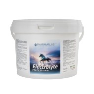 ELECTROLYTE PROFESSIONAL 10KG