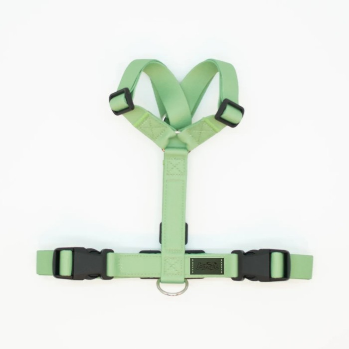 CH PETTORINA EARTH APPLE TG S