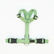 CH PETTORINA EARTH APPLE TG XS