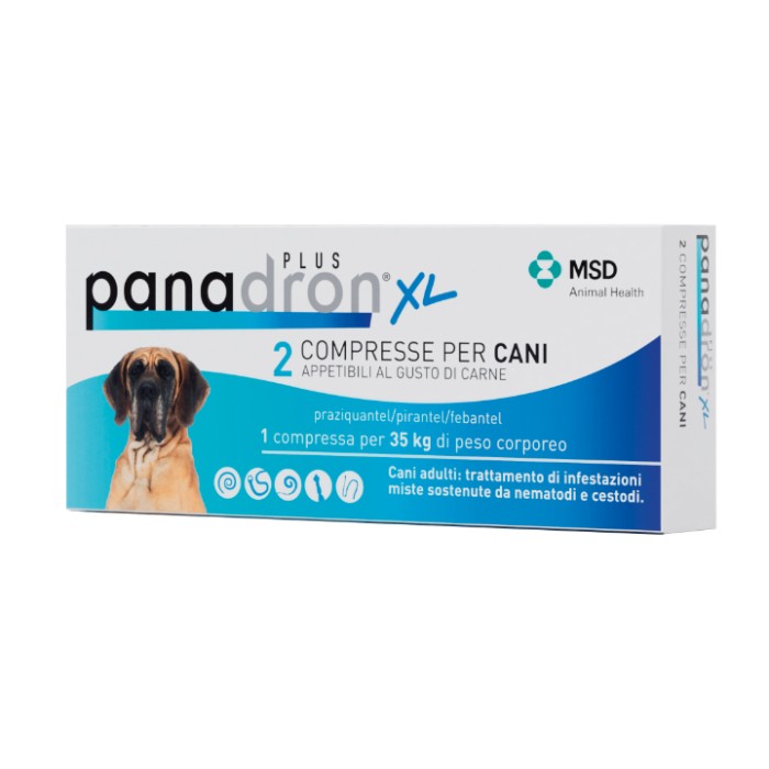 PANADRON PLUS XL*2CPR