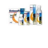 ENTEROFILUS MANG SEMPL 250ML ENTEROFILUS MANG SEMPL 250ML