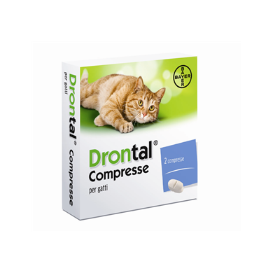 DRONTAL*2CPR GATTO DRONTAL*2CPR GATTO