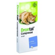 DRONTAL*24CPR GATTO