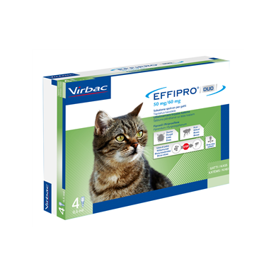 EFFIPRO DUO*4PIP 1-6KG GATTI EFFIPRO DUO*4PIP 1-6KG GATTI