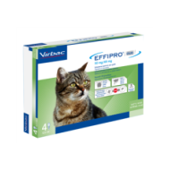 EFFIPRO DUO*4PIP 1-6KG GATTI