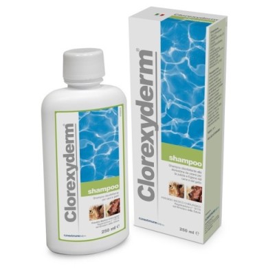 CLOREXYDERM SHAMPOO 250ML CLOREXYDERM SHAMPOO 250ML