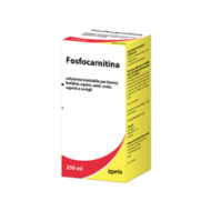 FOSFOCARNITINA*FL 250ML
