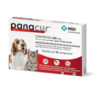 PANACUR*10CPR 250MG