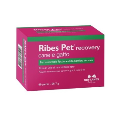 RIBES PET RECOVERY 60PRL RIBES PET RECOVERY 60PRL