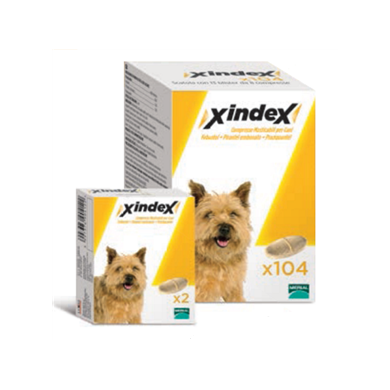 XINDEX*104CPR MAST CANI XINDEX*104CPR MAST CANI