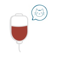 Emazie Concentrate - Gatto B Emazie Concentrate - Gatto B