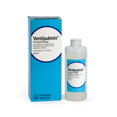 VENTIPULMIN*EQUINI SCIR-355ML