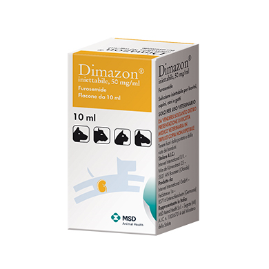 DIMAZON*INIET FL 10ML 5%