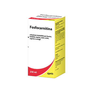 FOSFOCARNITINA*FL 250ML