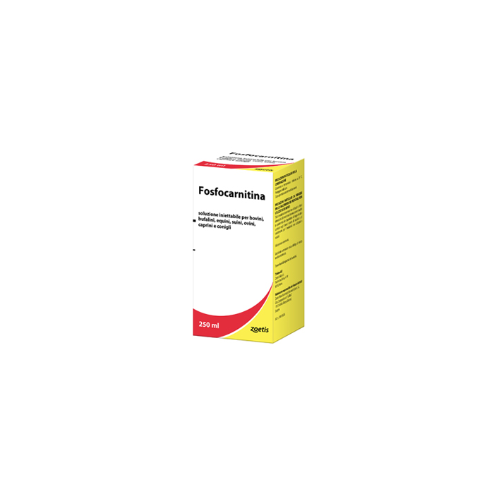 FOSFOCARNITINA*FL 250ML
