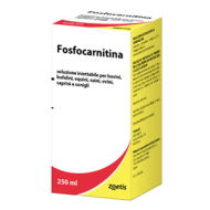 FOSFOCARNITINA*FL 250ML