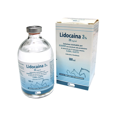 LIDOCAINA 2%*FL 100ML