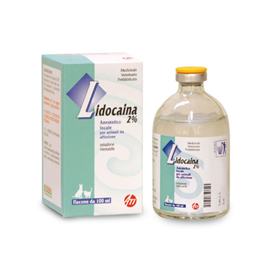 LIDOCAINA 2%*INIET FL 100ML